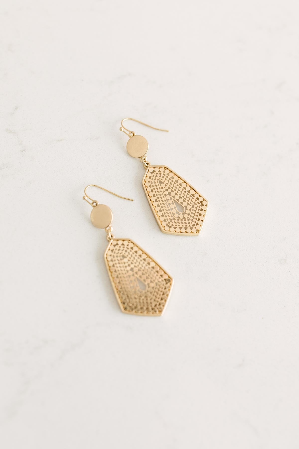 Geo Dangle Hook Earrings